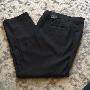 Lane Bryant the Sophie Straight fit pant